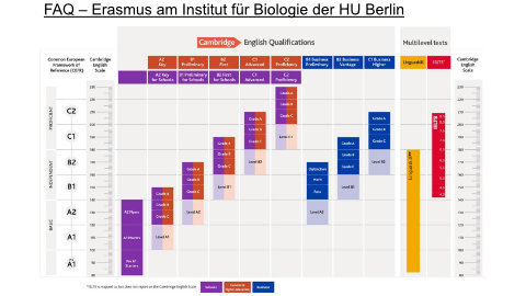 Erasmus FAQ